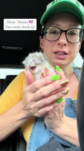 Eloise Diaries 🎀 Two week check up #rescuecatsoftiktok #newbornkitten  #fypシ #adopt #bottlefedkittens #babyEloisethecat #veterinarian #catmom