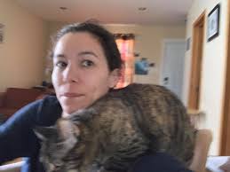 🐱 Winnipeg Missing and Found Cat Watch (serving all Manitoba)🐱