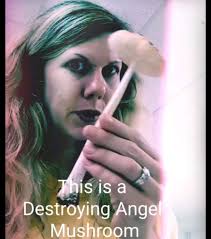 The Destroying Angel is among the most poisonous mushrooms in the world  because it contains amatoxin. This is the suspected poison that recently  killed several people at a sketchy Australian dinner ...