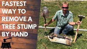 How To Remove A Tree Stump By Hand In 20 Minutes Or Less Youtube Removing Tree Stumps Tree Stump Stumped