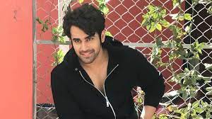 Www.instagram.com/pearlvpuri www.twitter.com/pearlvpuri actor in : Naagin 3 Fame Pearl V Puri Introduces His Baby Boy Iwmbuzz