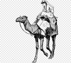 Well, a camel is a horse designed by a committee. Bactrian Camel Dromedary Equestrian Horse Camel Horse Mammal Png Pngegg