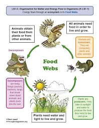 Food Web Posters Food Chain Activities Food Web Food Chain