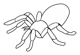 I was wondering if anyone knows how to make a giant spider without all the complicated wire mesh and all the paper. 10 Best Printable Halloween Spider Coloring Pages Printablee Com
