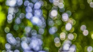 Background colorful colorful background blur blur background colorful blur color high definition picture colors abstract blurred nature wallpaper red light blue circles backgrounds yellow green. Bokeh Blur Background Out Of Free Photo On Pixabay