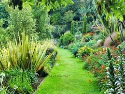 Les Jardins De Kerdalo Fleurs Exotiques Terrasse Jardin Jardins