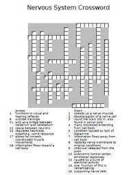 Check spelling or type a new query. Nervous System Crossword Puzzle By The Teacher Team Tpt