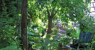 Schattengarten Schattengarten Gartengestaltung Und Garten