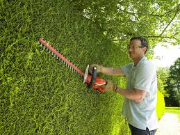 Black And Decker Pole Hedge Trimmer 18v Black Decker Gtc1850l20 Gb 18v 2 0ah Li Ion Hedge Trimmer Amazon Co Uk Diy Tools Hedge Trimmer Hedges Outdoor Power Equipment