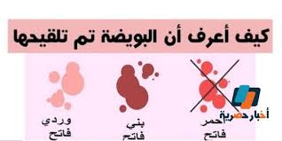 شكل دم الحمل بالصور والفرق بينه وبين دم الدورة الشهرية أخبار حصرية