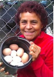 $4.00/dz Fresh Eggs available in Sharon!!