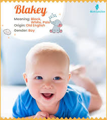 Blakely Name Meaning, Origin, History, And Popularity