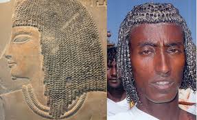 Hair Texture of Ancient Egyptian and Oromo  ------------------------------------------------- Throughout their history,  ancient Egyptians made tools and hairstyles that would have unlikely to  come into existence if they did not share similar things