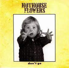 There's a buzzing fly hanging around the bluebells and the daisies there's a lot more loving, yeah, left in this world don't go don't leave me now Don T Go Hothouse Flowers Song Wikipedia