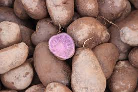 Risultati immagini per patate viola