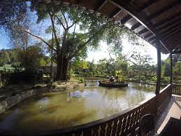 Ofertas de hoteles en janda baik: View Of The Resort Picture Of Al Sakinah Eco Resort Janda Baik Tripadvisor