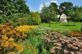 In fünf gewächshäusern entfalten vor allem. Botanischer Obstgarten