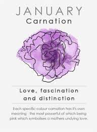 Your Birth Flower Says More About You Than You Realize Birth Flower Tattoos Birth Flowers Carnation Flower Tattoo