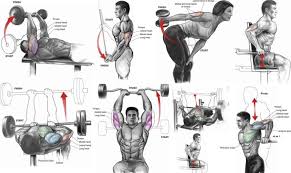 Tricep Workout Chart Tricep Workout Routine