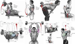 tricep workout chart tricep workout routine