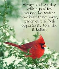 Pin By Carla Mh On Words Of Wisdom Bird Quotes Cardinal Birds Cardinal