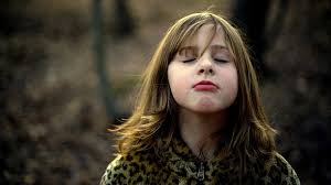 Approaching the Elephant by Amanda Wilder — Kickstarter