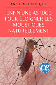Enfin Une Astuce Pour Eloigner Les Moustiques Naturellement Eloigner Les Moustiques Repousser Les Moustiques Et Piege A Moustiques Fait Maison