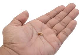 If this septum is deviated severely in one direction or both, the condition is known as a deviated septum. Tonsil Stone Sinus And Nasal Surgery Clinic Septoplasty Surgery Tonsillectomy Specialist