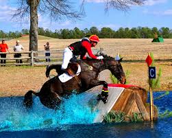 , 36 ( 2004 ) , pp. Rider Falls Will Result In Elimination Under New British Eventing Rule Eventing Nation Three Day Eventing News Results Videos And Commentary