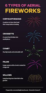 6 Types Of Aerial Fireworks Infographic Fireworks Chemistry Of Fireworks Science Chemistry