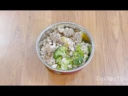 In fact, homemade diabetic dog food is much healthier for your little pooch anyway. Homemade Dog Food For Pancreatitis Recipe Simple 5 Ingredients Youtube