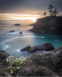 We did not find results for: Samuel H Boardman State Scenic Corridor Oregon Is Beautiful