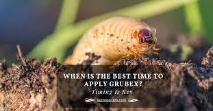 Grubex with the active ingredient chlorantraniliprole is used for it is not for indoor use. When Is The Best Time To Apply Grubex Timing Is Key Alovegarden