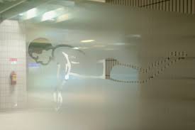 Swimmers — xavier roux