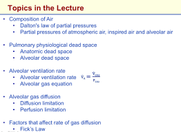 And when we're doing with specifically physiological, let's face, it means. 12 Li Alveolar Ventilation Flashcards Quizlet