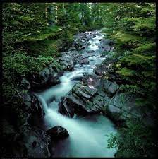 Start your trip with a visit to snoqualmie falls, which roars over a cliff west of north bend. Campgrounds North Bend Visitors Bureau Wa