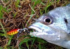 ライト太郎.net - はてなブログ