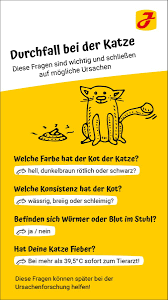 Durchfall hat vermutlich jeder schon gehabt. Katze Hat Durchfall Hier Lesen Sie Wie Sie Helfen Konnen