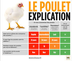 Mais peu à peu bien évidement, il y a une grande différence entre élever quelques poules pondeuses pour son plaisir personnel et en élever un grand. L Elevage Des Poulets De Chair Ethique Et Animaux