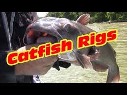 A 6/0 straight hook won't give you half the holding power that a 6/0 circle hook will provide. 260 Best Fishing Catfish Rigs Ideas In 2021 Catfish Rigs Catfish Fishing Tips