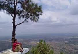 Atau sekitar 35 km dari pusat yogyakarta. Peta Wisata Imogiri Peta Wisata Indonesia Dan Luar Negeri