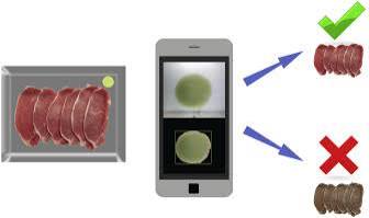 Smartphone based meat freshness detection - ScienceDirect