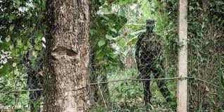 Ugandan law guarantees that every candidate is allowed representation at polling locations. Fwmqdedcajkim