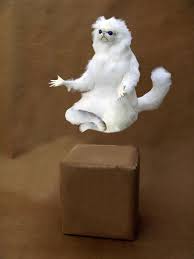 Meme generator no items found. Persian Cat Room Guardian Know Your Meme