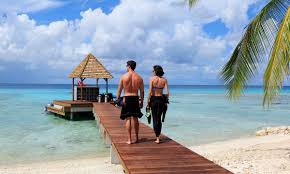 Image result for Faroa affinis