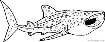 735x567 whale shark coloring pages coloring shark fun free printable. Whale Shark Coloring Pages Coloringall