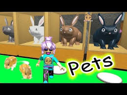 Hamsters In The House Roblox Animal House Pets Online Game Let S Play Random Fun Video Youtube Pets Online Play Roblox Game App
