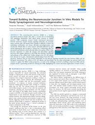 Where is the fuse block on 2019 fleetwood disocvery. Pdf Toward Building The Neuromuscular Junction In Vitro Models To Study Synaptogenesis And Neurodegeneration