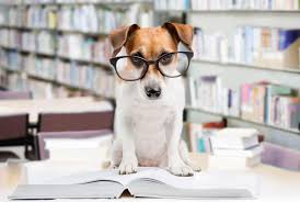 If you fail, then bless your heart. 54 Fantastic Facts For National Trivia Day Mental Floss