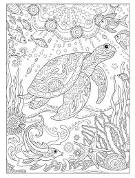 Keep the book in your purse or backpack so you can take it with you for a quick break from your busy schedule. Detailed Turtle Coloring Pages For Adults Novocom Top